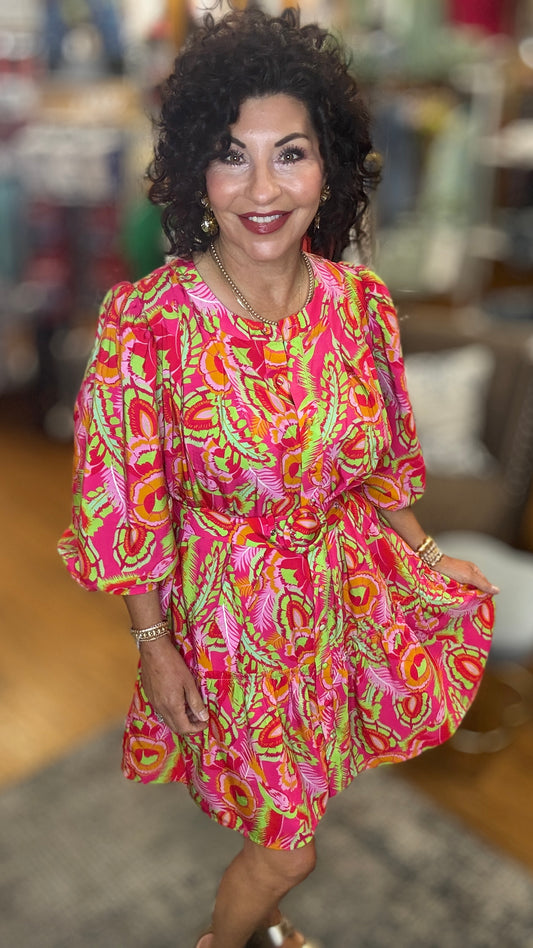 Multi Colored button down belted dress