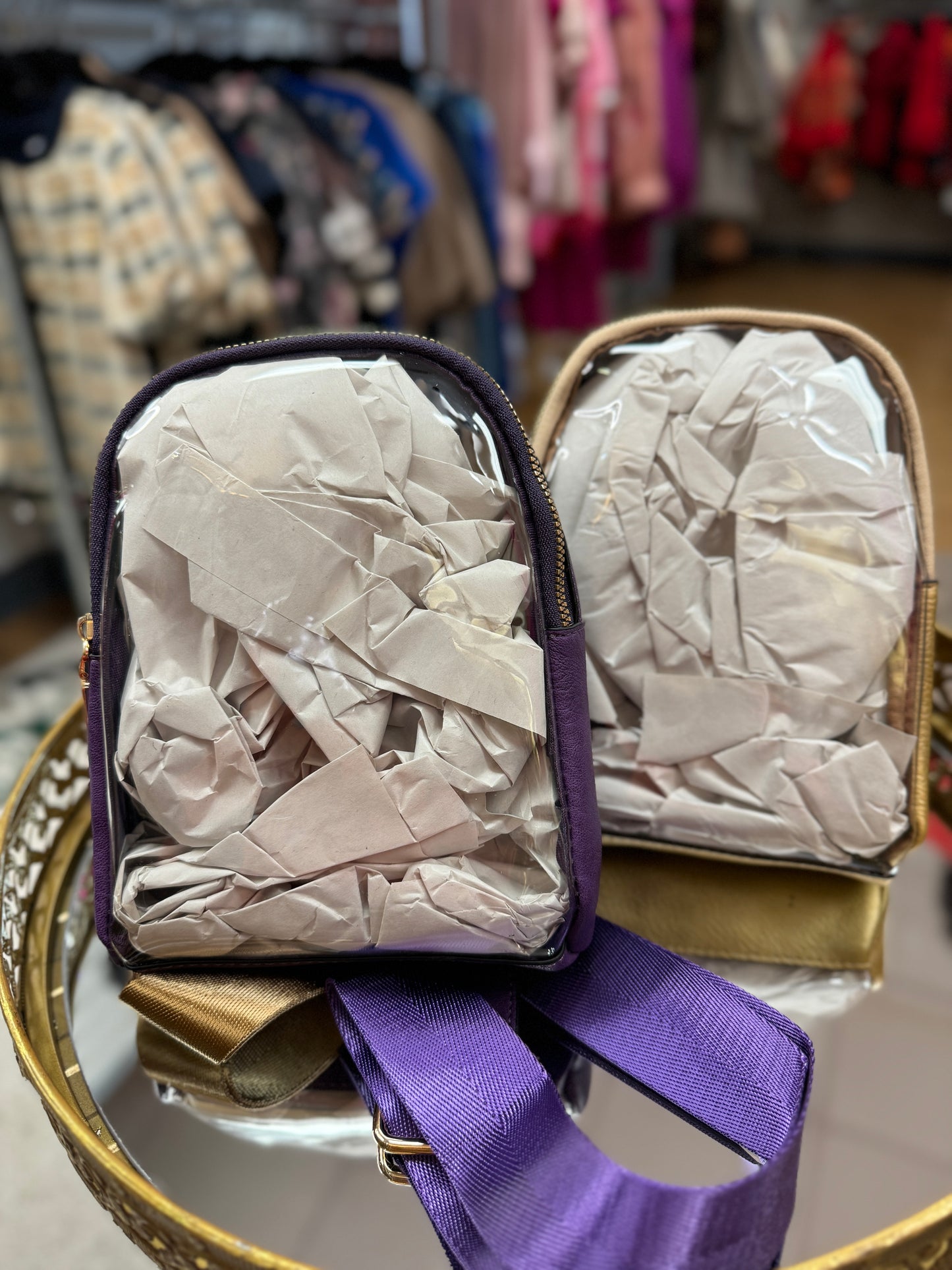 Mini. Crossbody clear bag